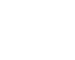 Design Anatomy